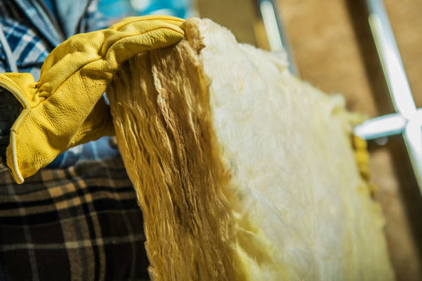 Best Residential Insulation in Pioneer, OH