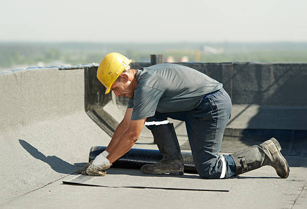Best Insulation Installation Services in Pioneer, OH